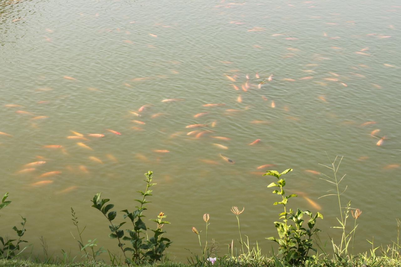 Menam Resort Nakhon Pathom Buitenkant foto